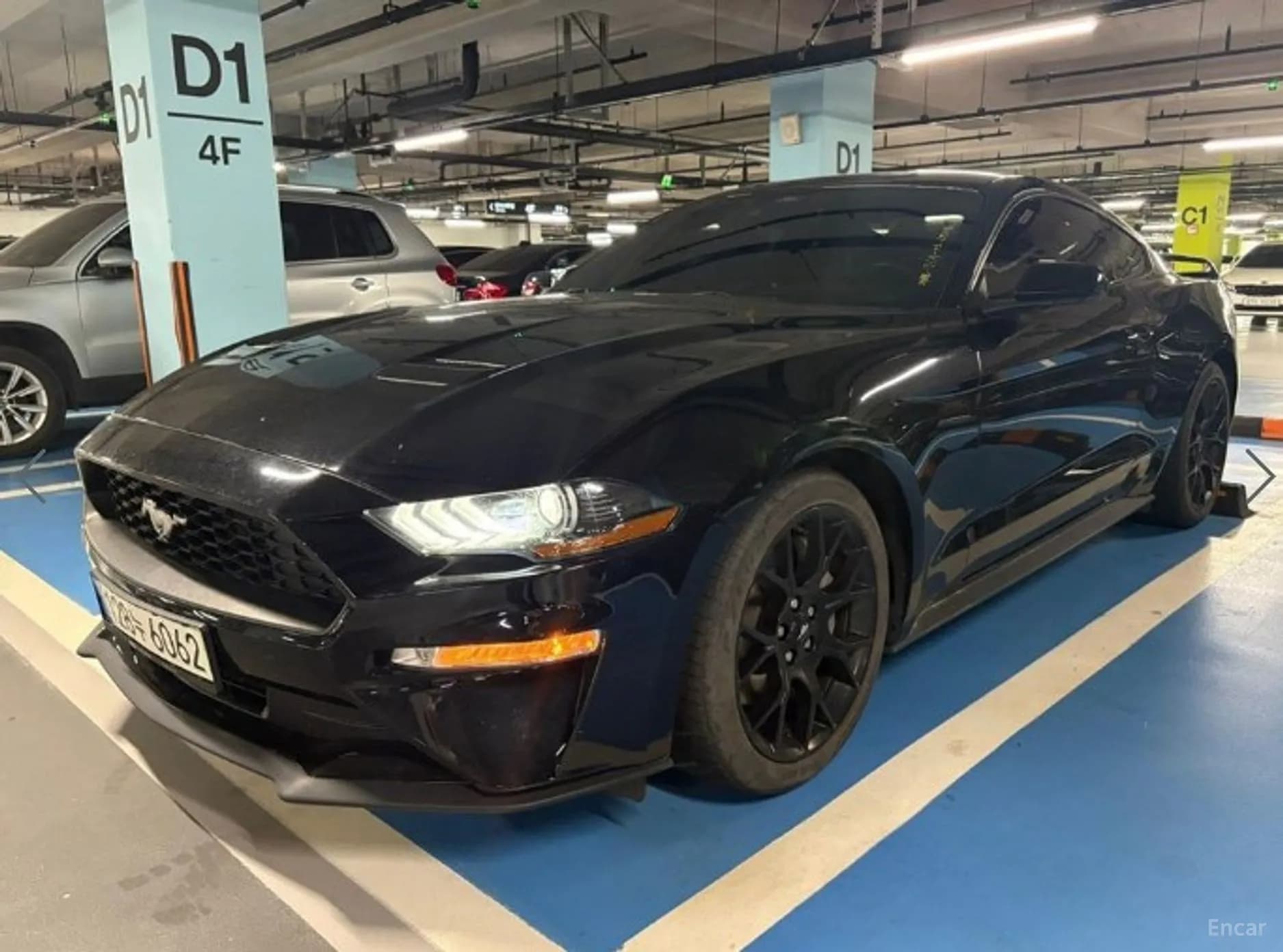 Mustang