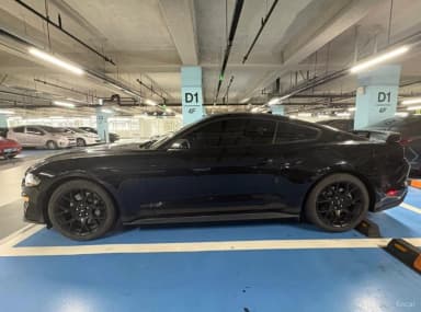 Mustang