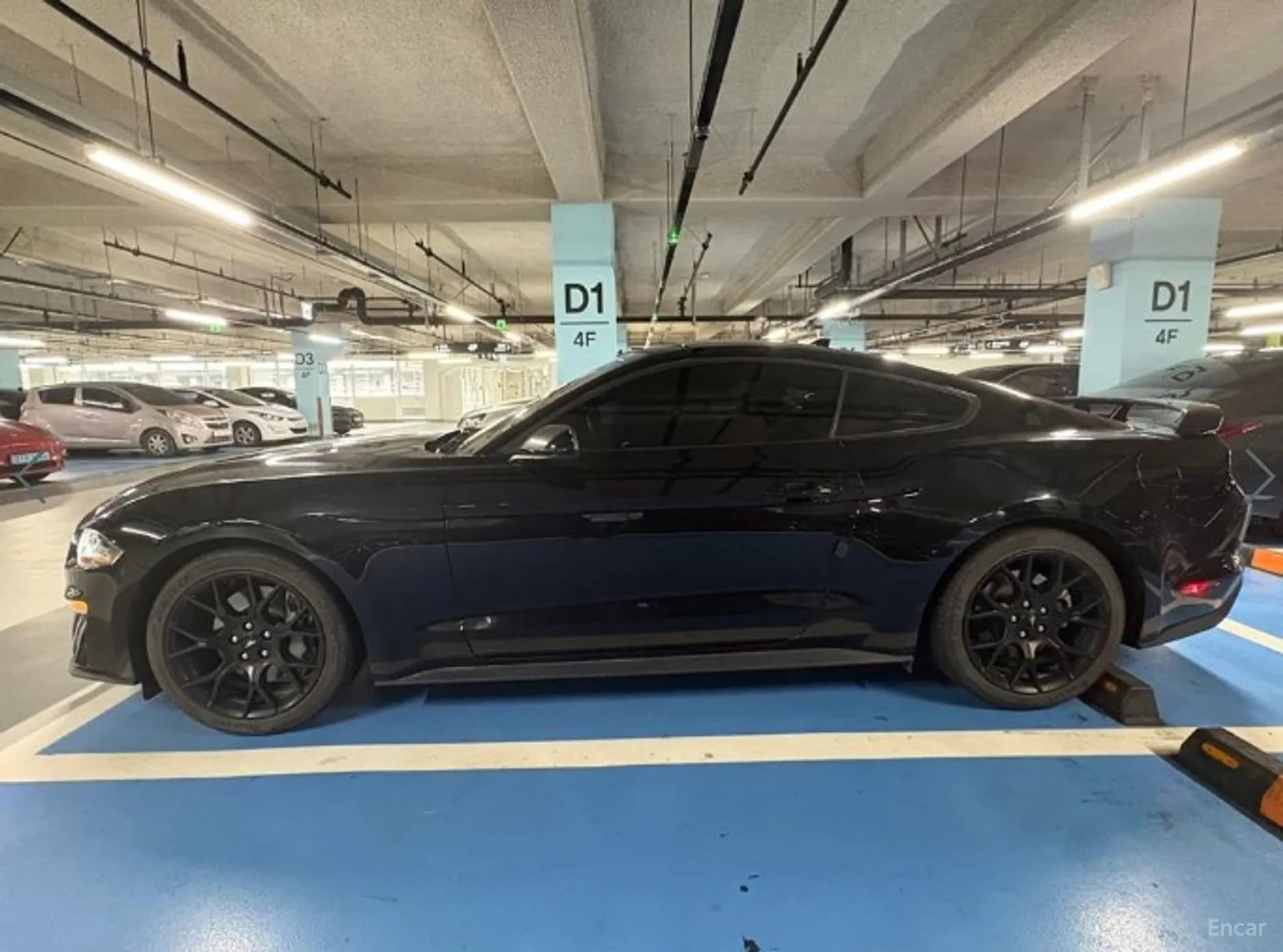 Mustang