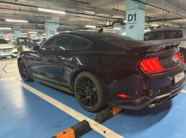 Mustang
