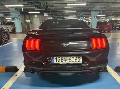 Mustang