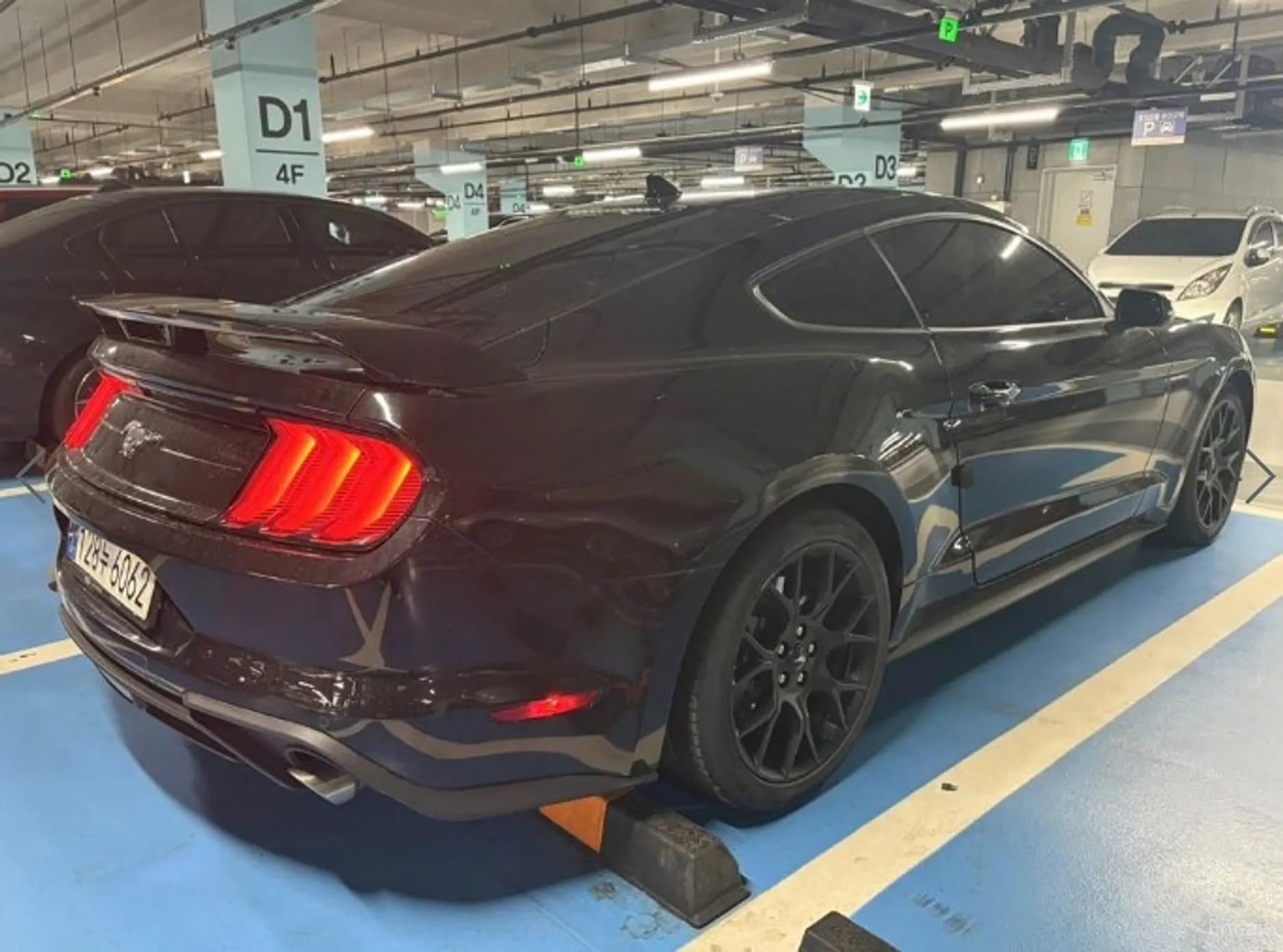 Mustang