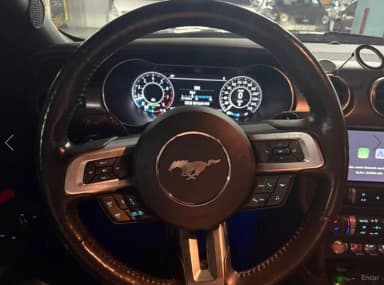 Mustang