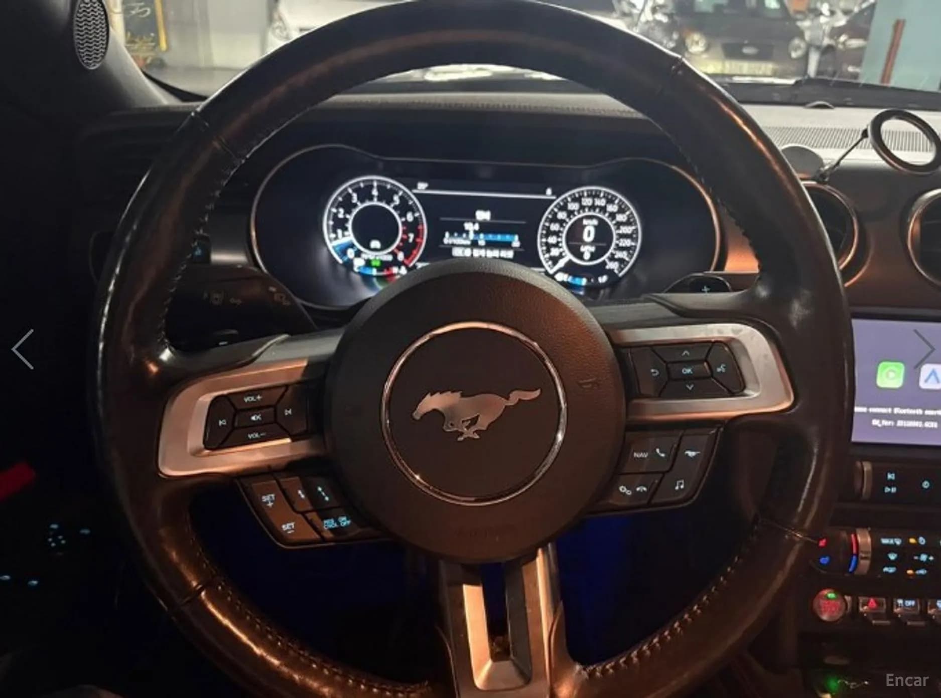 Mustang