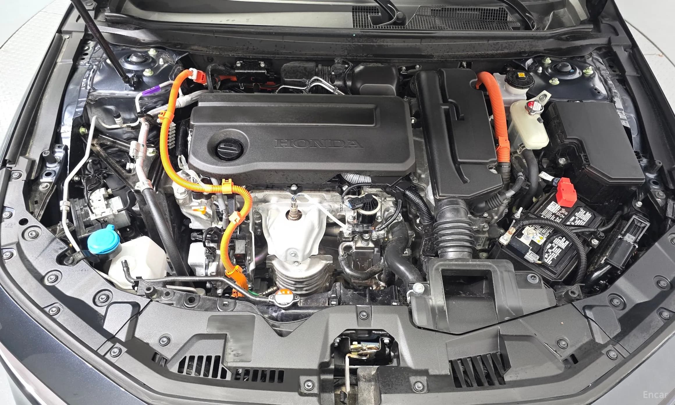 Accord 11th Generation