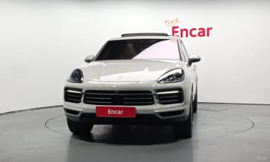 Cayenne (PO536)