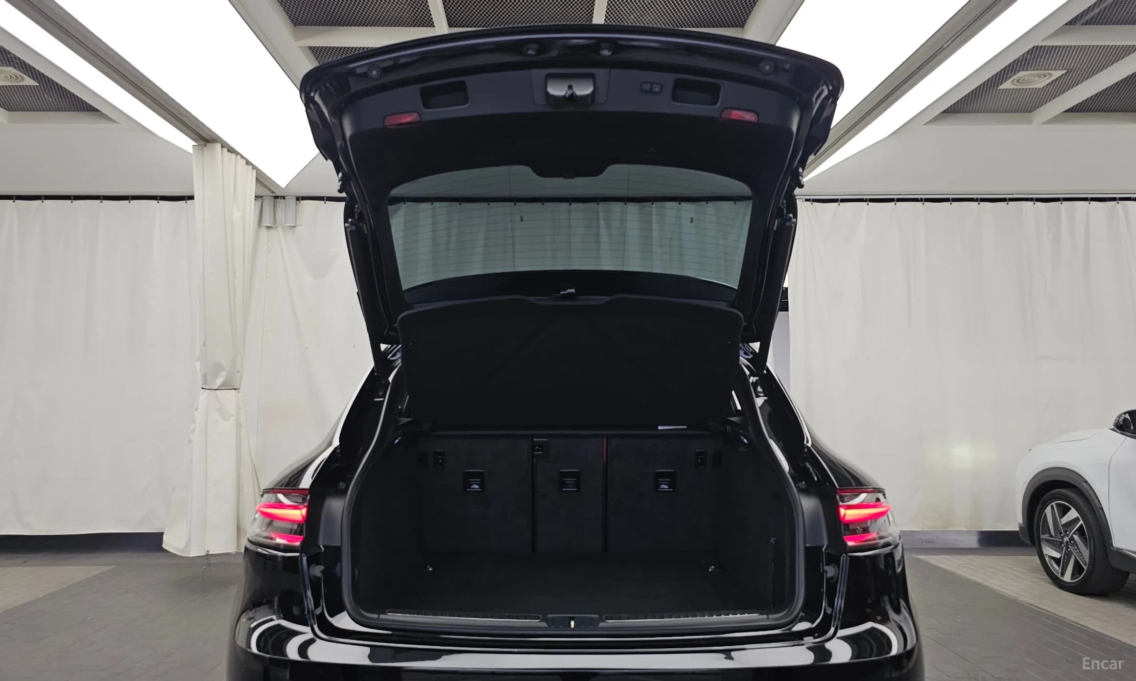 Macan