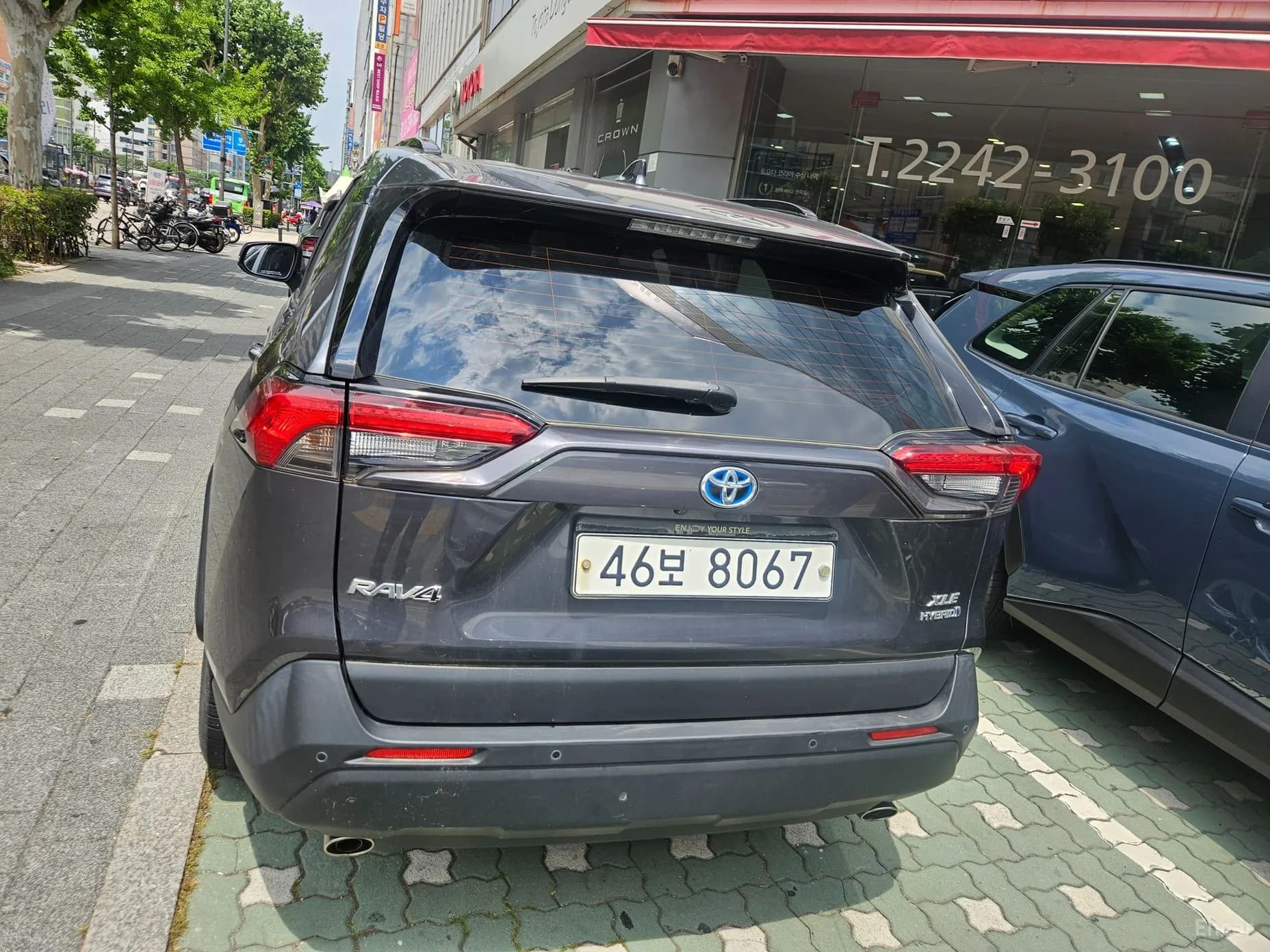 RAV4 5th Generation