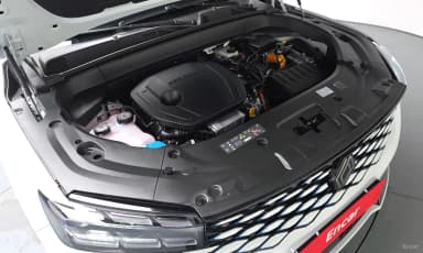 Grang Koleos