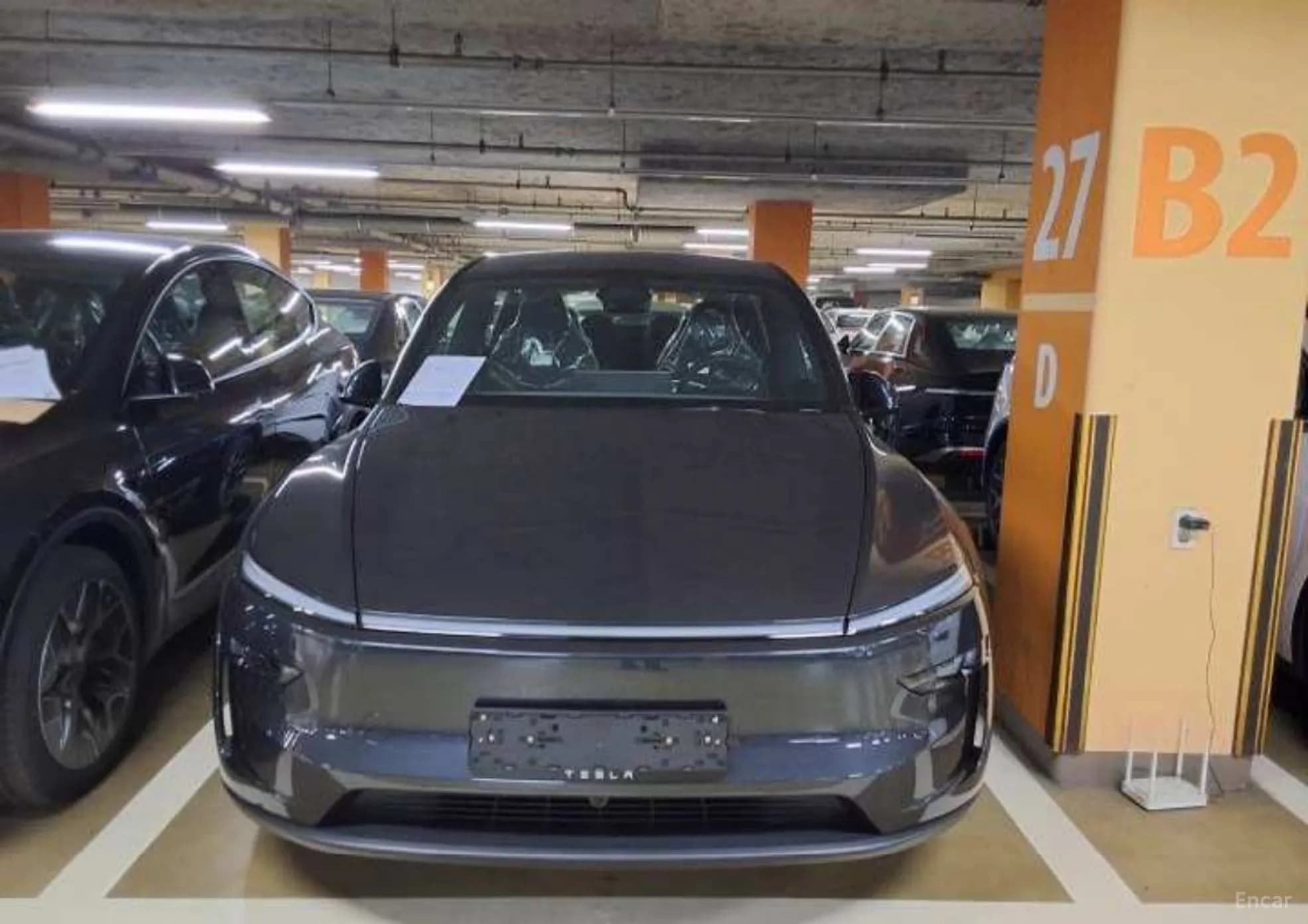 Model Y