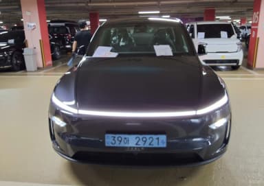 Model Y