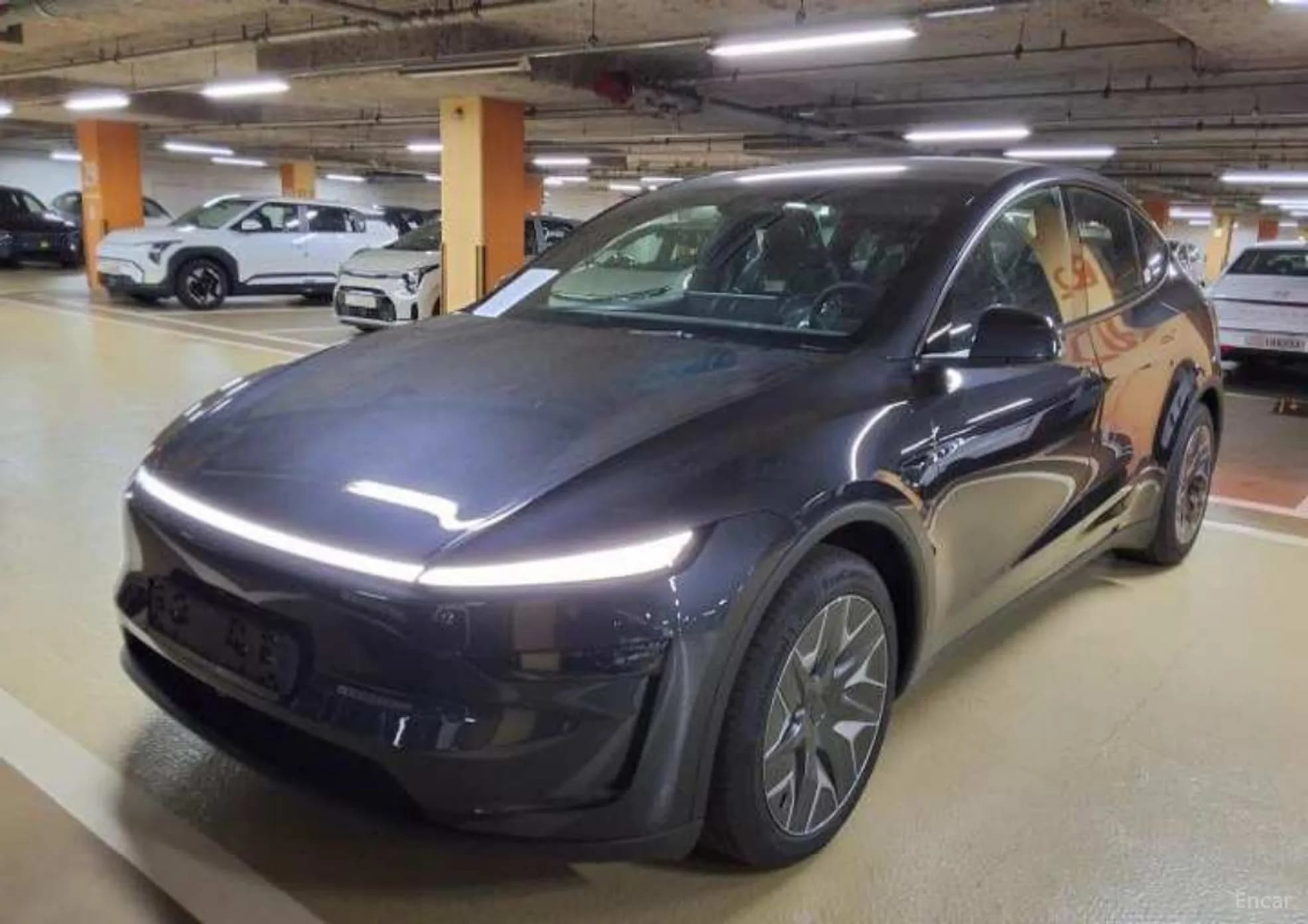Model Y