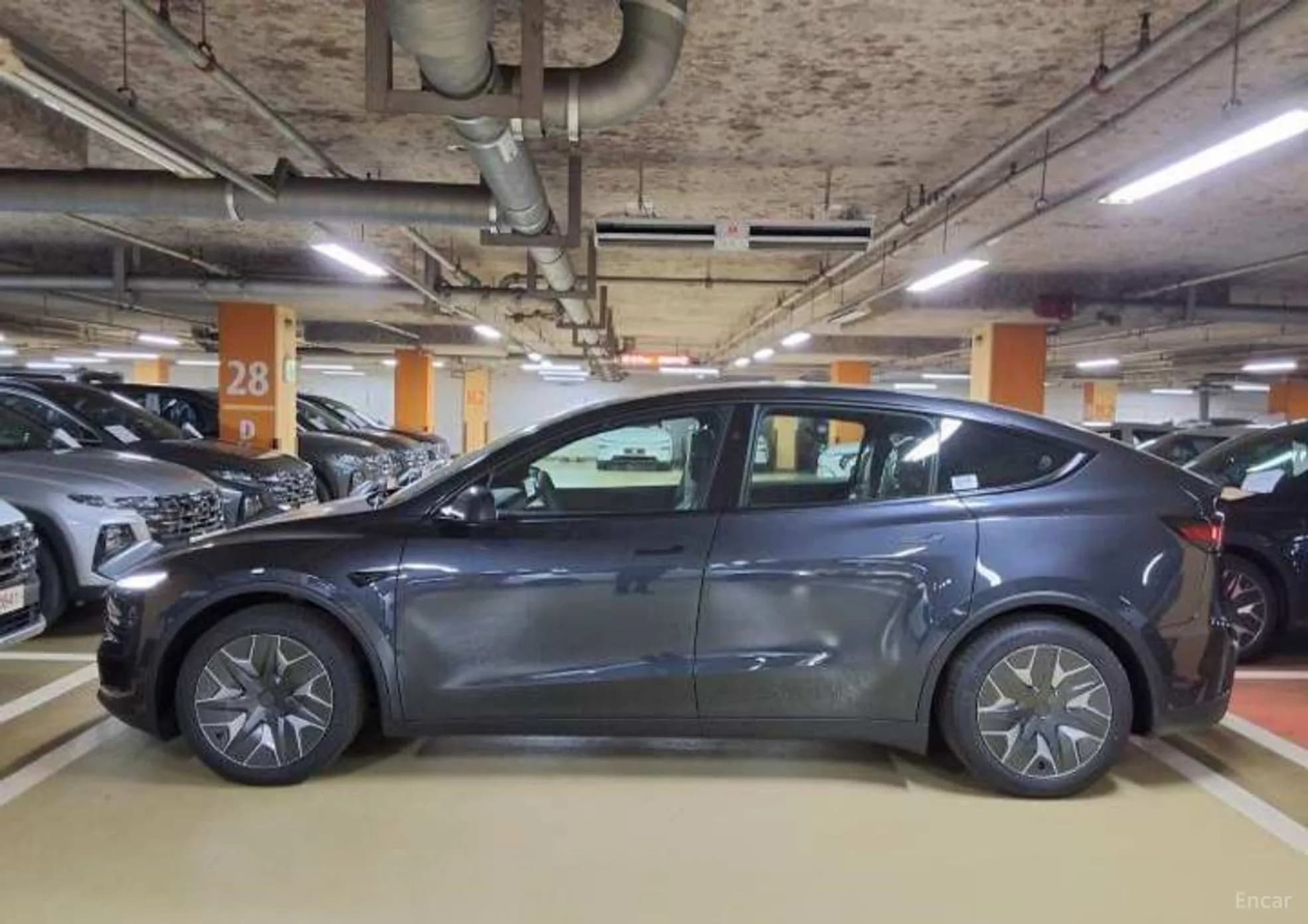 Model Y
