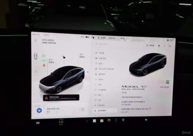 Model Y