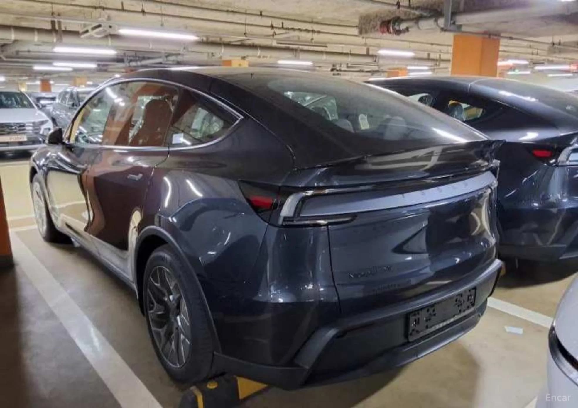 Model Y