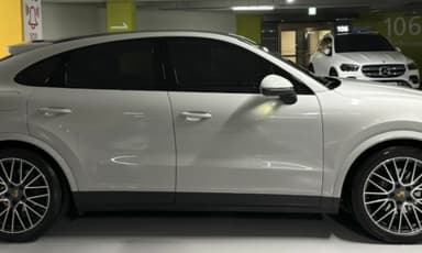 Cayenne (PO536)