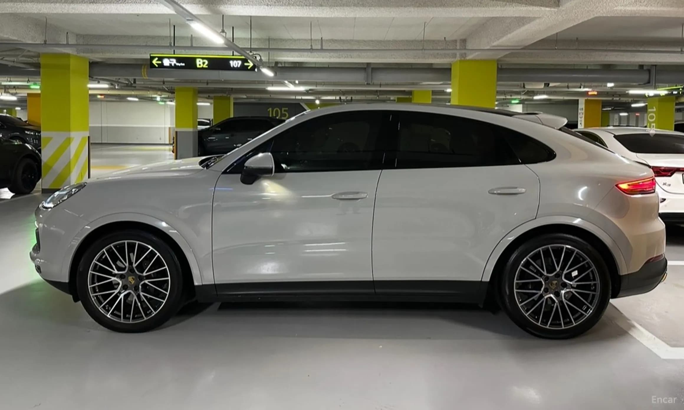 Cayenne (PO536)