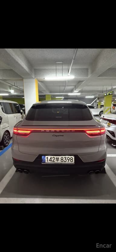 Cayenne (PO536)