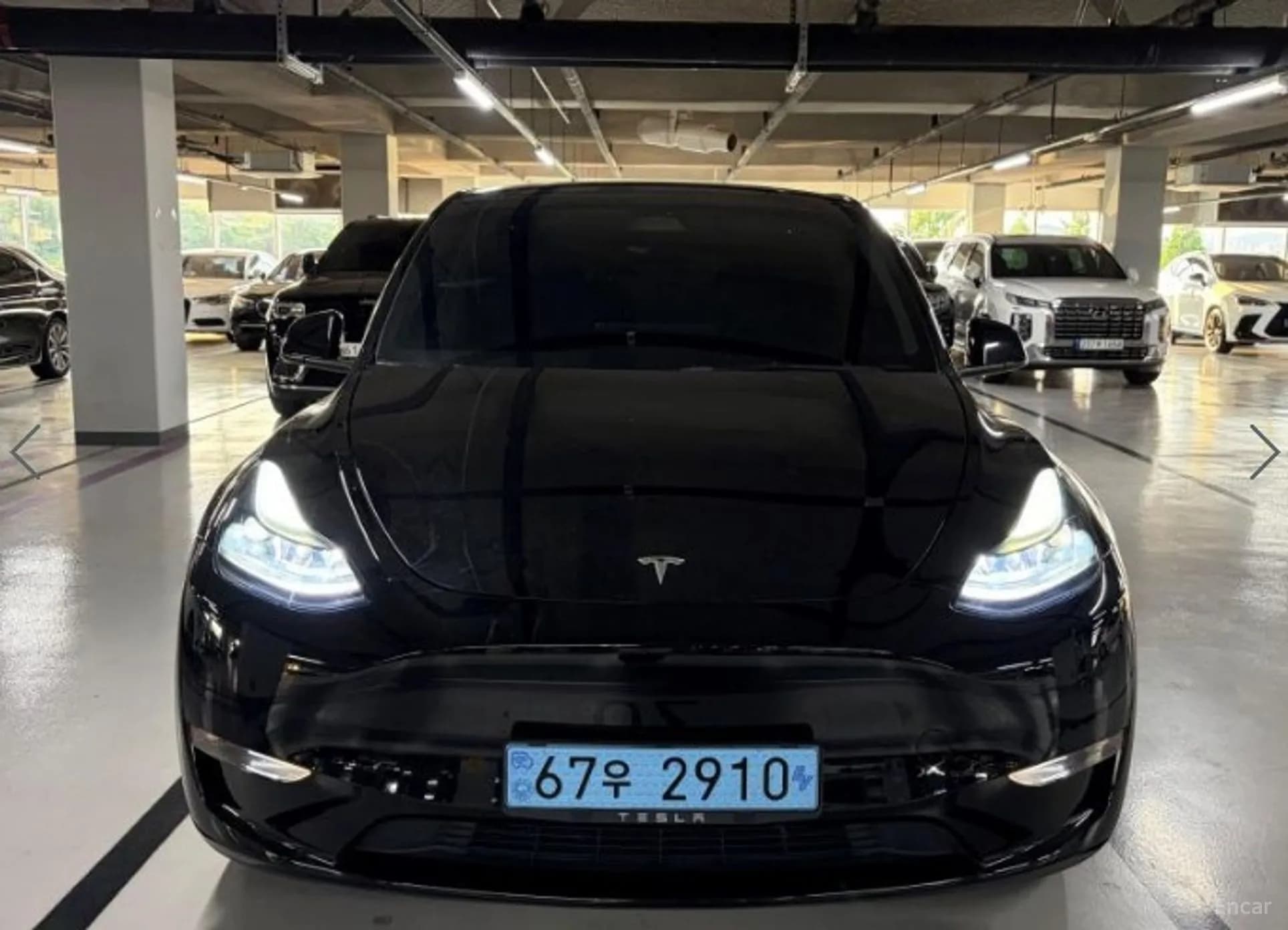 Model Y