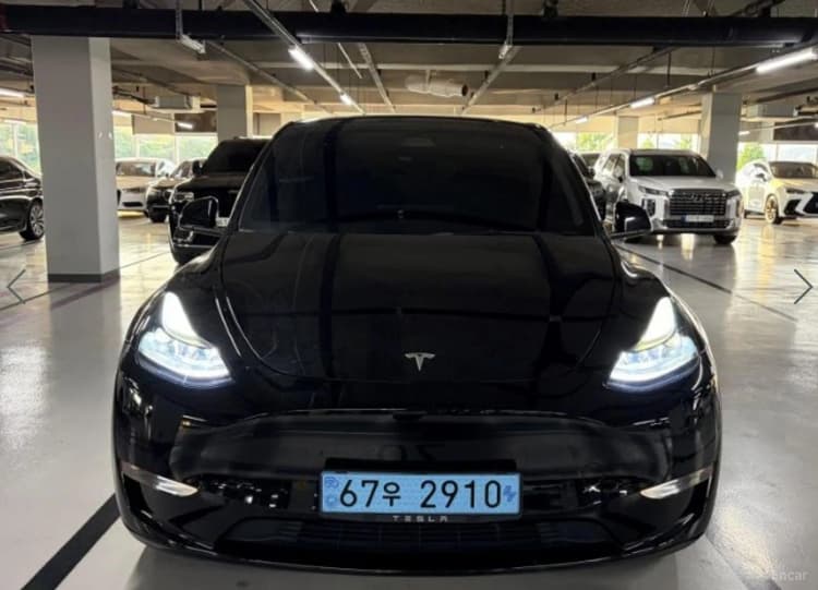 Model Y