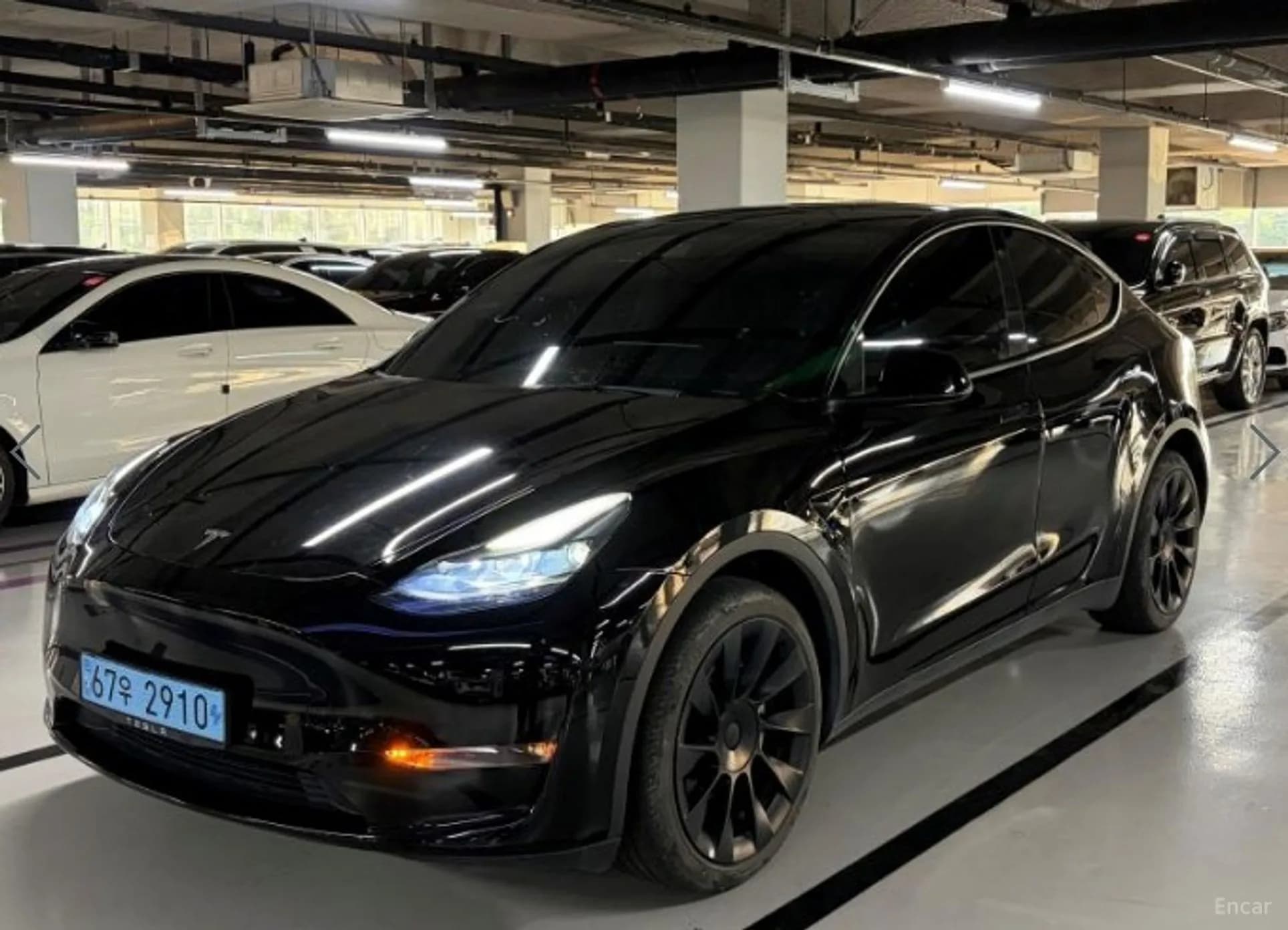Model Y