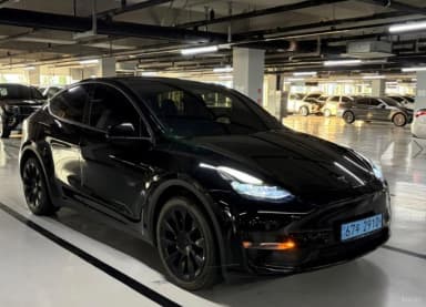 Model Y