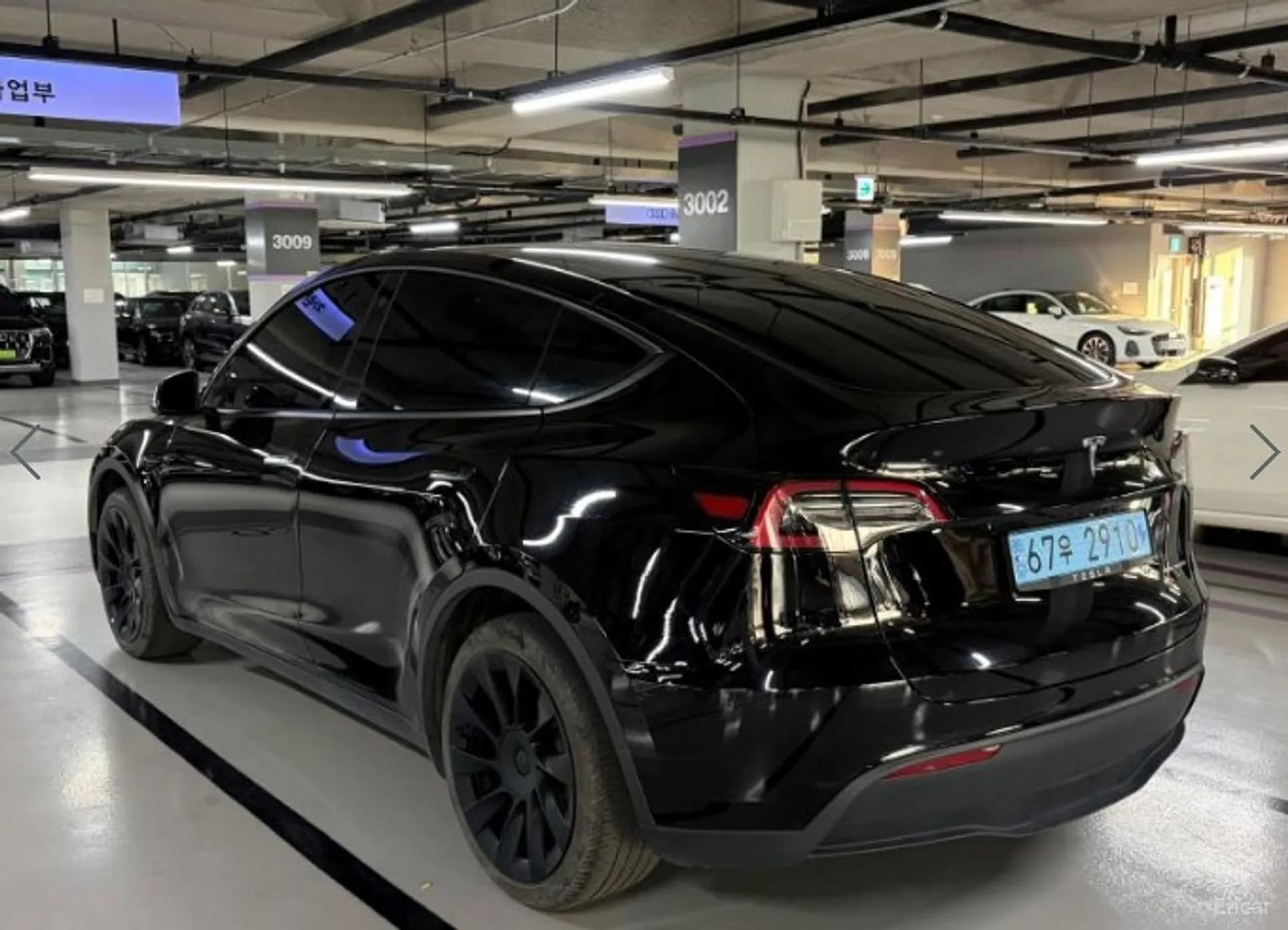 Model Y