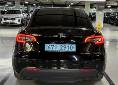 Model Y