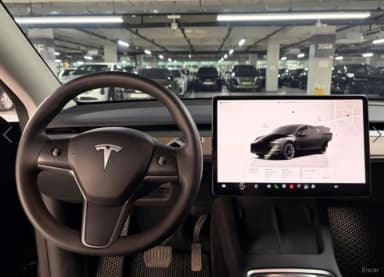 Model Y