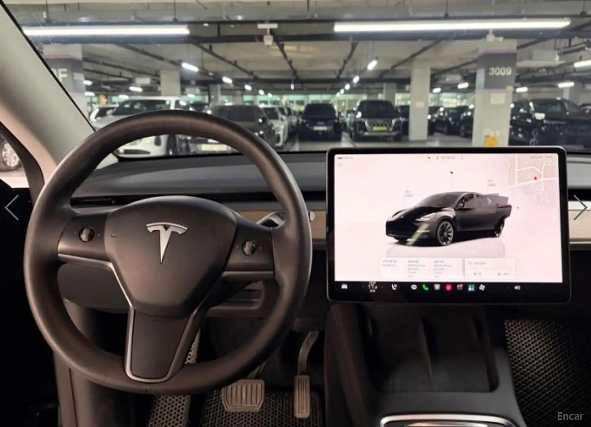 Model Y
