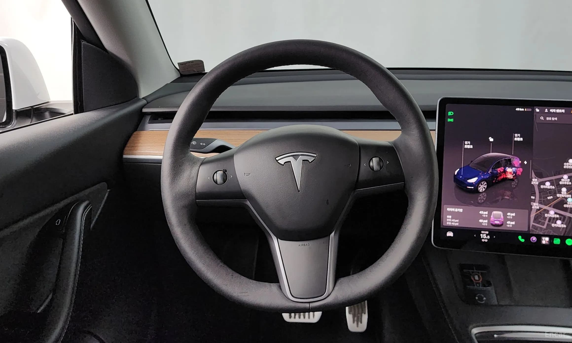 Model Y
