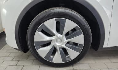 Model Y