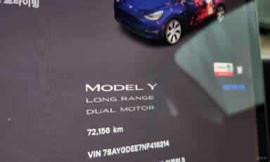 Model Y
