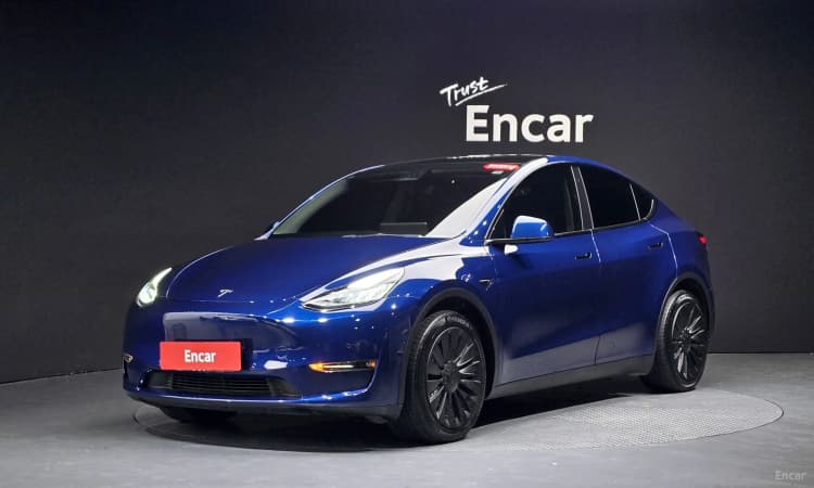 Model Y