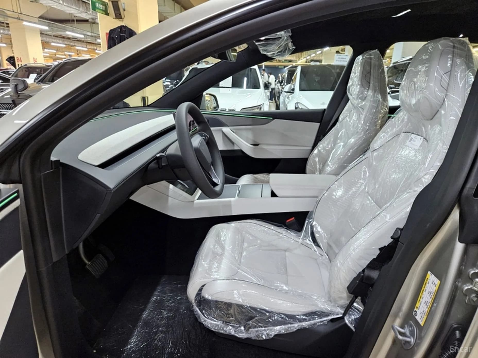 Model Y