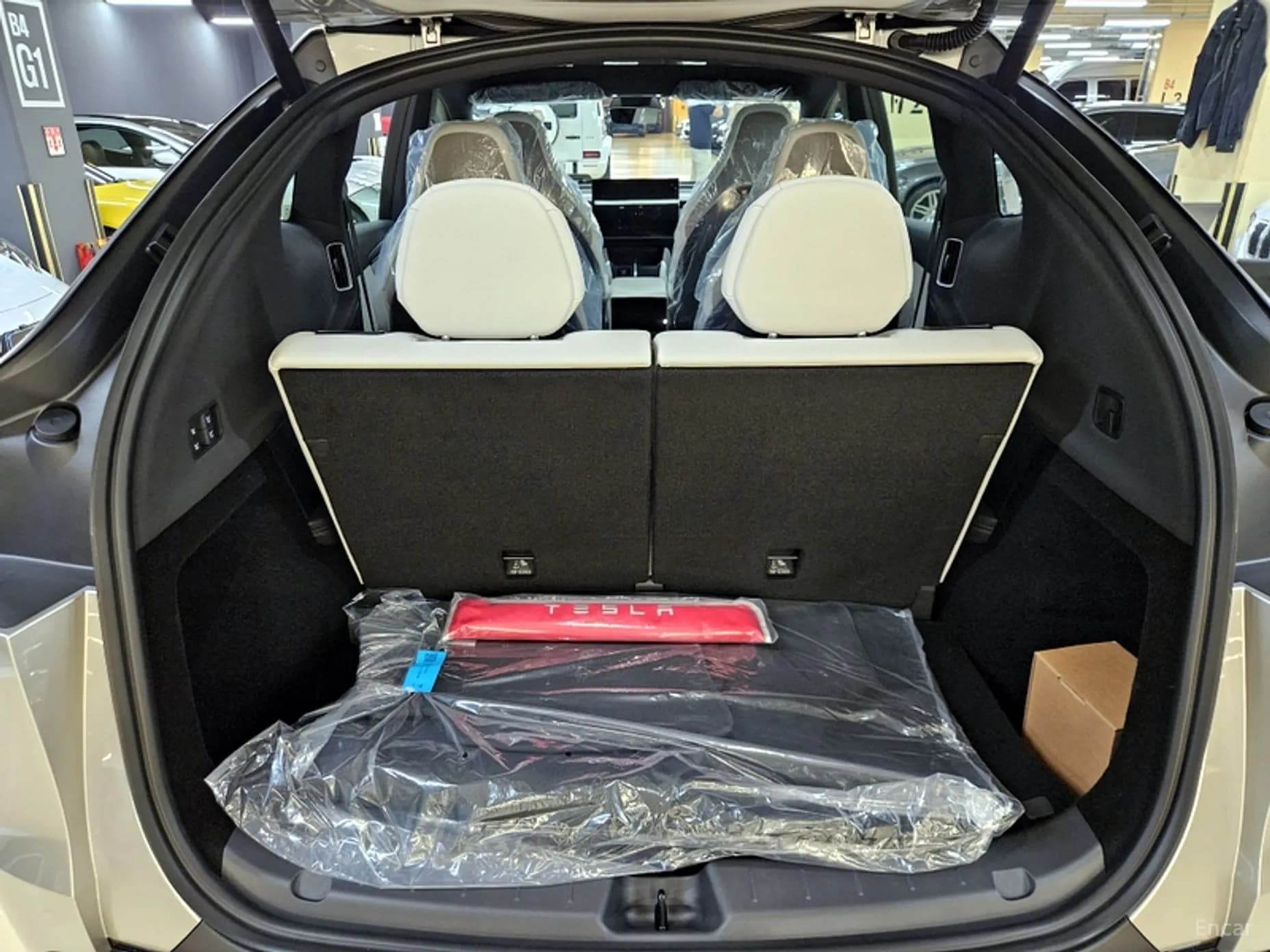 Model Y
