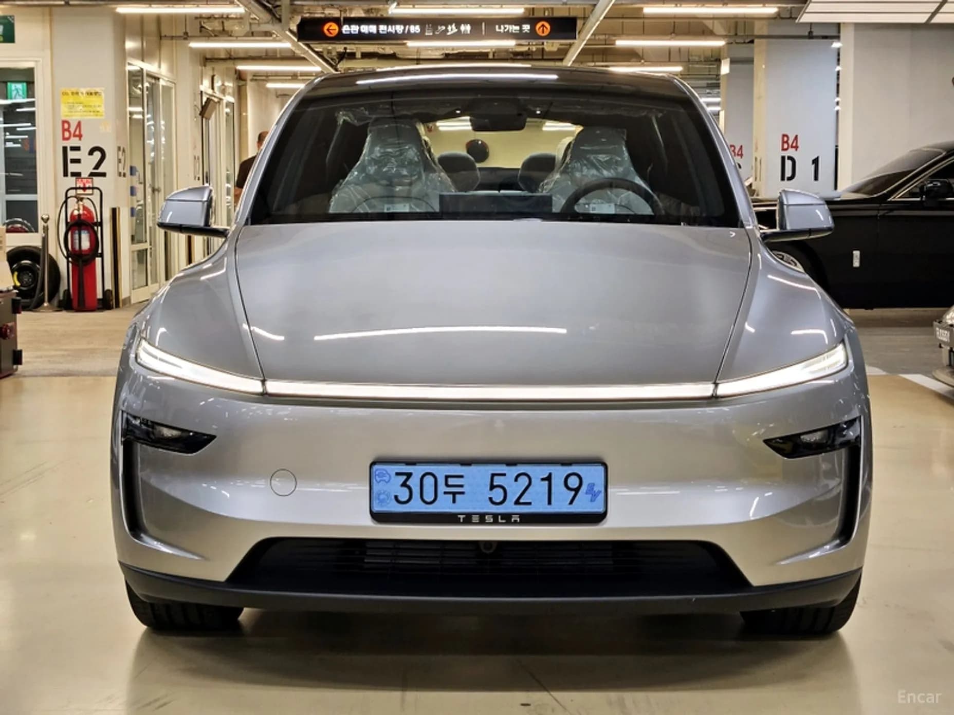 Model Y