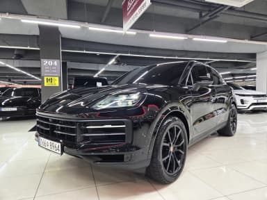 Cayenne (PO536)