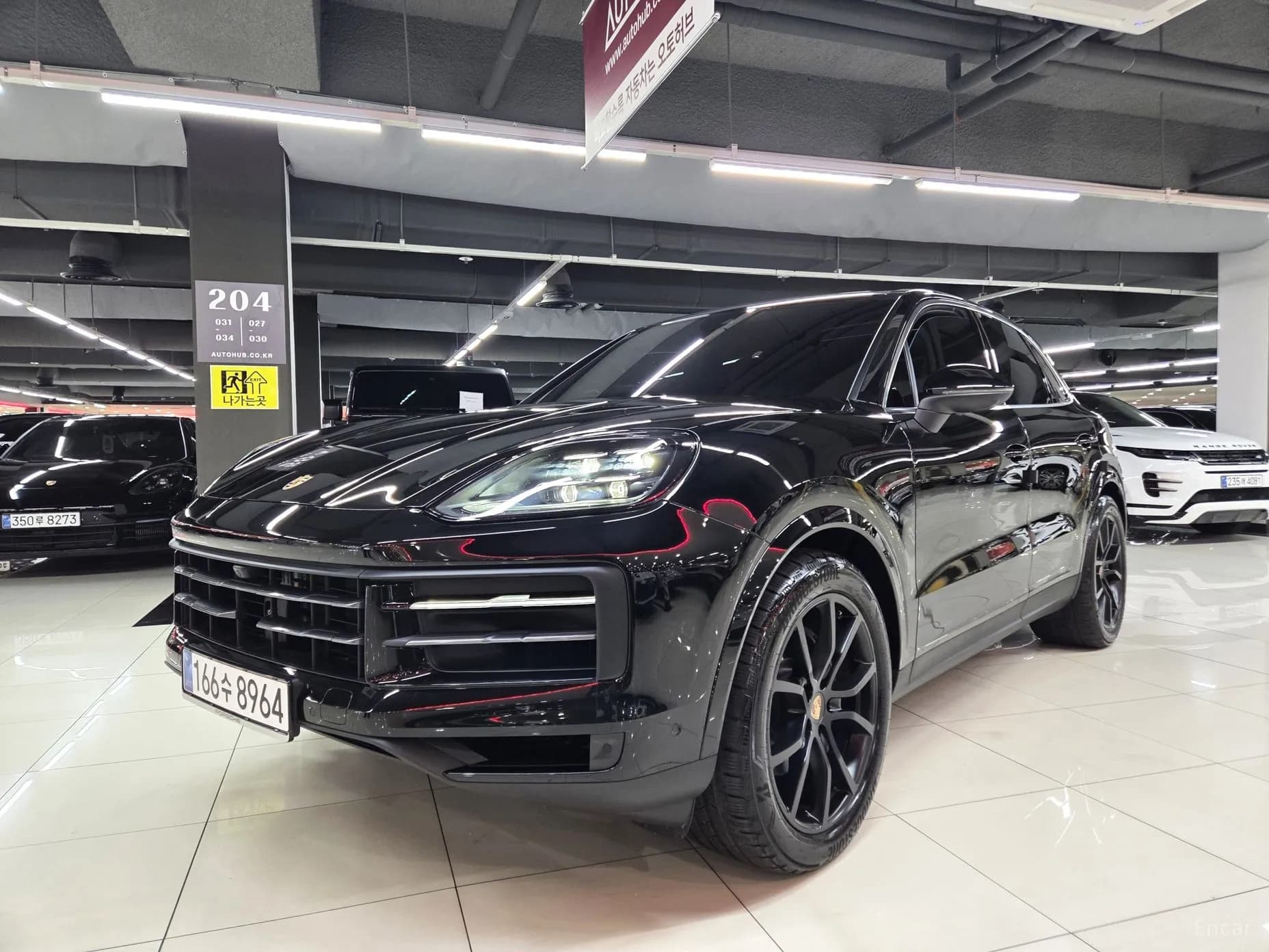 Cayenne (PO536)