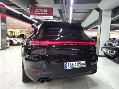 Cayenne (PO536)