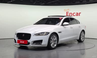 XF (x260)
