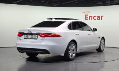 XF (x260)