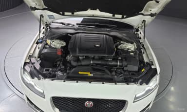 XF (x260)