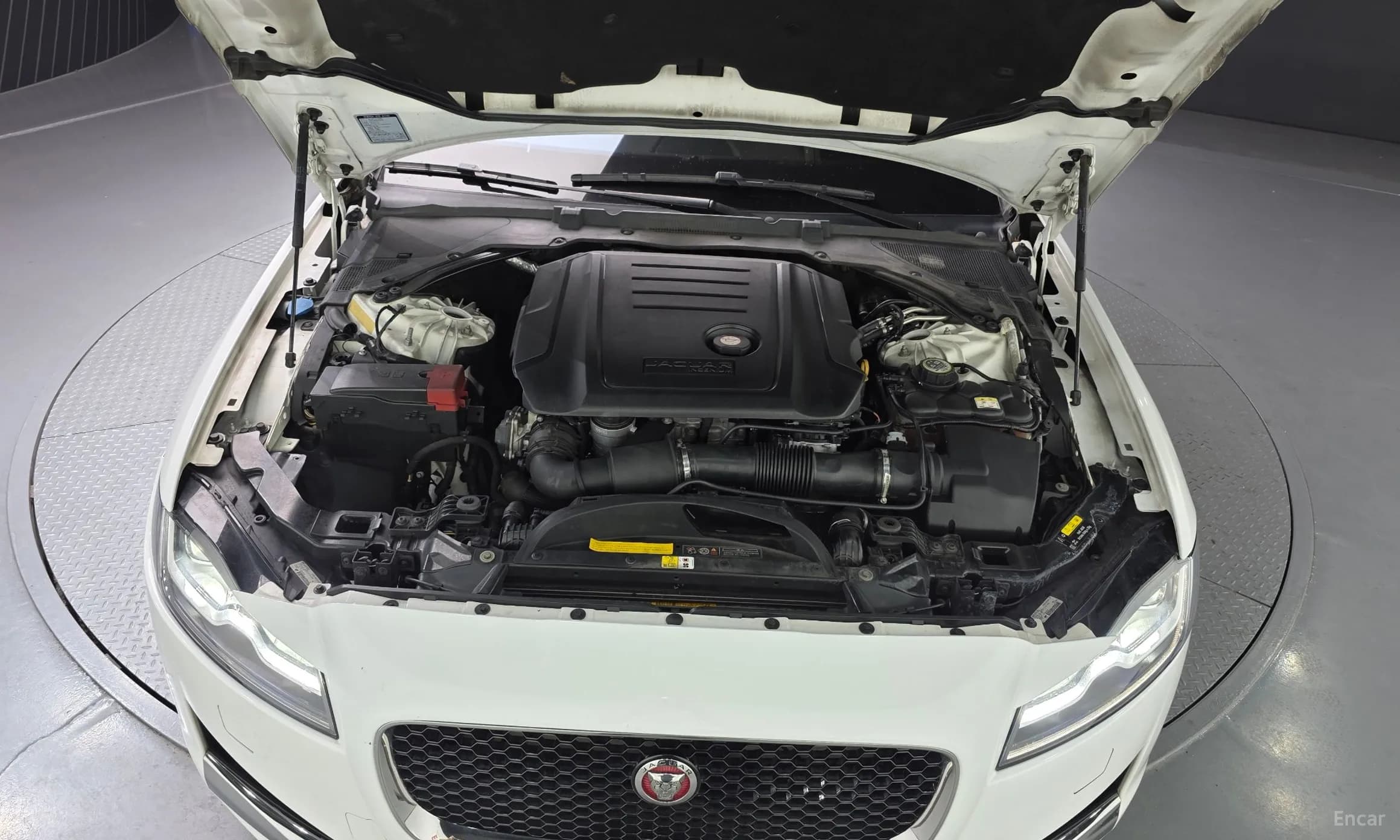 XF (x260)