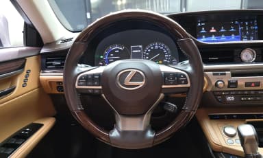 New ES300h