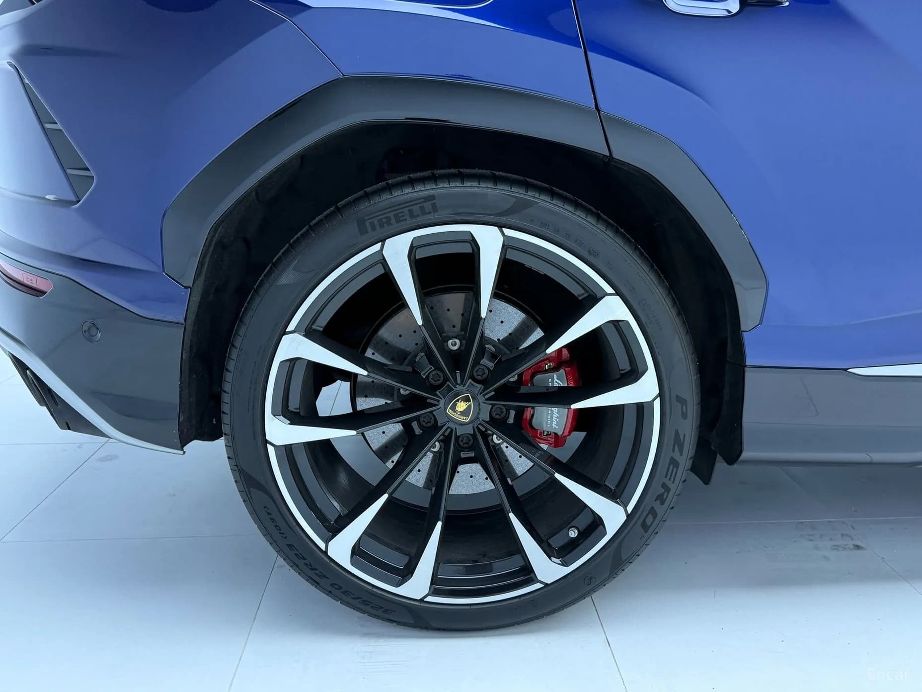 Urus