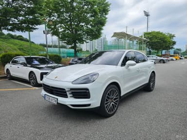 Cayenne (PO536)