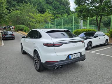 Cayenne (PO536)