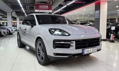 Cayenne (PO536)