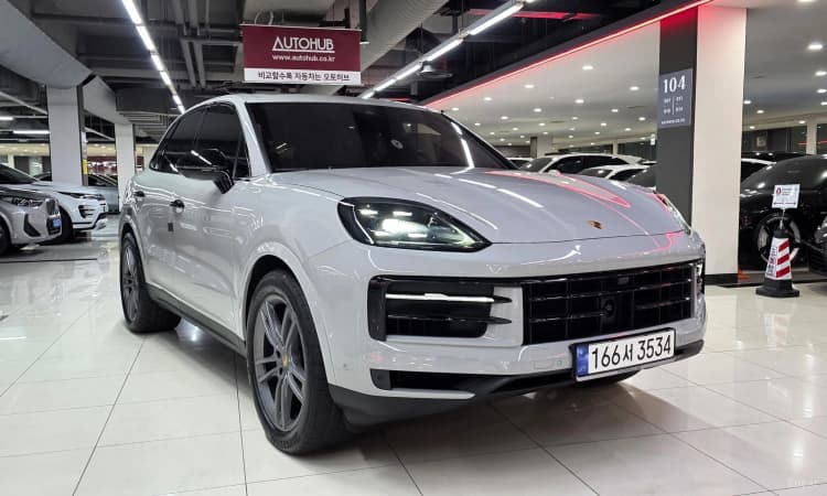 Cayenne (PO536)